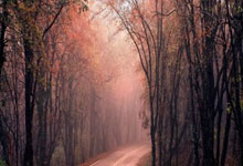 [CBA]袁堂文击地妙传 李添荣反跑篮下轻松上篮.