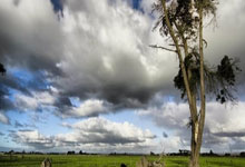 欧博体育:B费本赛季已直接参与29球,自2020/21赛季以来最多.