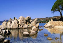 WTT新加坡大满贯年初二开赛 我国四选手资格赛首轮出局.